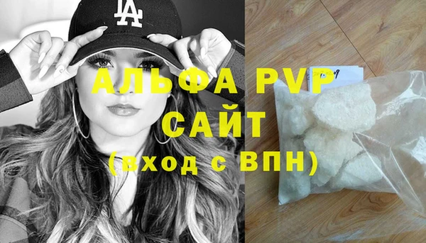 стаф Коряжма