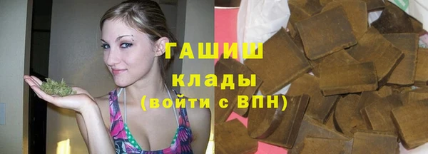 стаф Коряжма