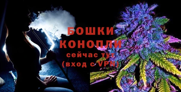 МДПВ Козловка