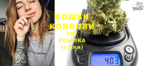 МДПВ Козловка