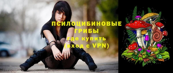 индика Новый Уренгой