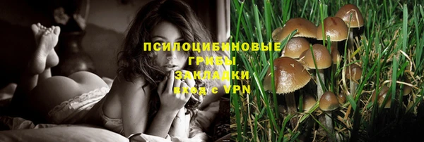 спайс Козельск
