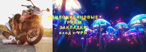МДПВ Козловка