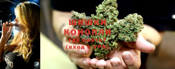 стаф Коряжма