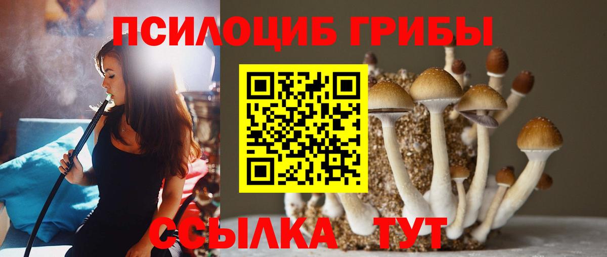 Краснотурьинск  Псилоцибиновые грибы прущие грибы  Псилоцибиновые грибы Psilocybine cubensis  Вход с VPN 