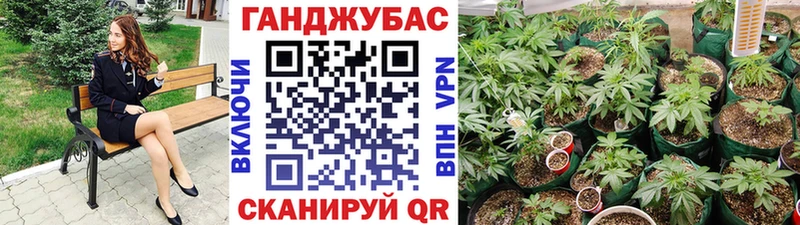 Каннабис Amnesia  сайты даркнета какой сайт  Краснотурьинск 